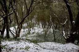 Tourisme, Paysage, Neige