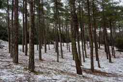 Tourisme, Paysage, Neige