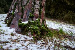 Tourisme, Paysage, Neige