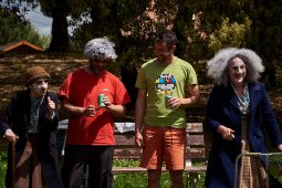 Cie Quand les moules auront des dents, Spectacle