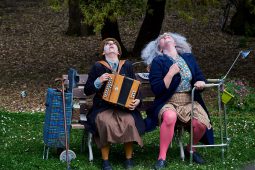 Cie Quand les moules auront des dents, Spectacle