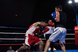 Sport, Boxe