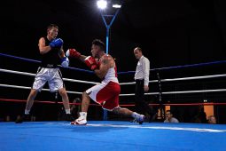 Sport, Boxe