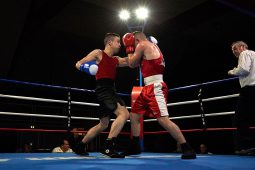 Sport, Boxe