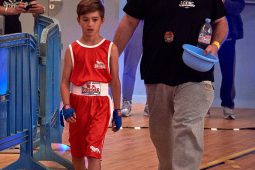 Sport, Boxe