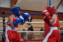 Sport, Boxe