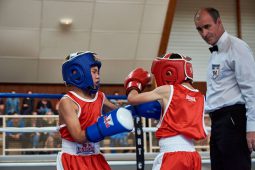 Sport, Boxe