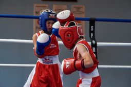 Sport, Boxe
