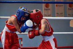 Sport, Boxe