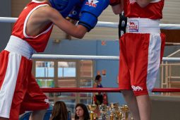Sport, Boxe