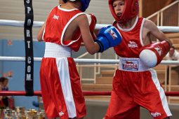 Sport, Boxe