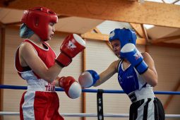 Sport, Boxe