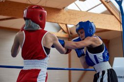 Sport, Boxe
