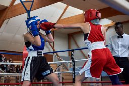 Sport, Boxe