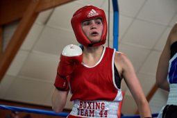 Sport, Boxe