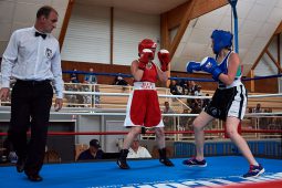 Sport, Boxe