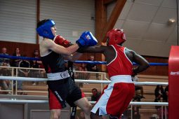 Sport, Boxe