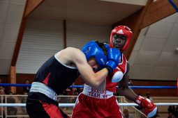 Sport, Boxe