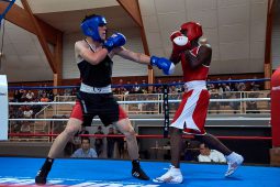 Sport, Boxe