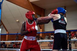 Sport, Boxe
