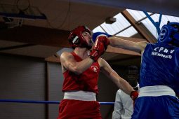 Sport, Boxe