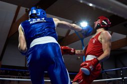 Sport, Boxe