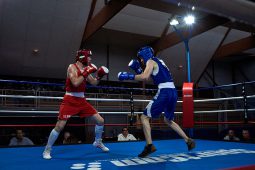 Sport, Boxe