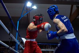 Sport, Boxe