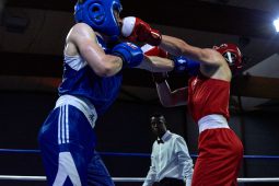 Sport, Boxe