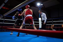 Sport, Boxe