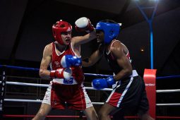 Sport, Boxe