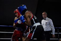 Sport, Boxe