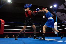 Sport, Boxe
