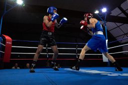 Sport, Boxe