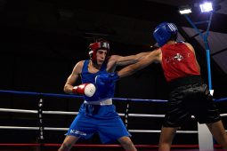 Sport, Boxe