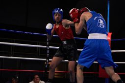 Sport, Boxe