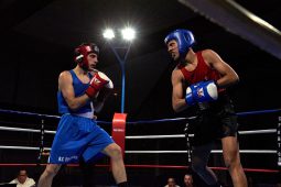 Sport, Boxe