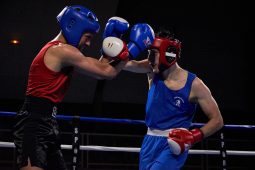 Sport, Boxe