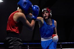 Sport, Boxe