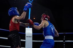 Sport, Boxe