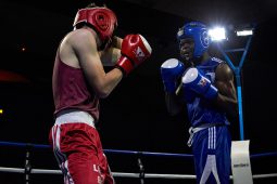 Sport, Boxe