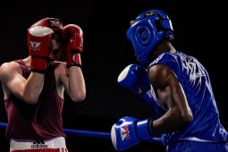Sport, Boxe