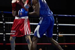 Sport, Boxe