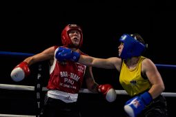 Sport, Boxe