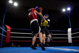 Sport, Boxe
