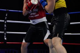 Sport, Boxe