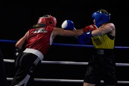 Sport, Boxe