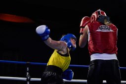 Sport, Boxe
