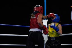 Sport, Boxe