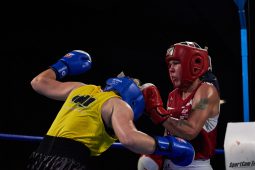 Sport, Boxe